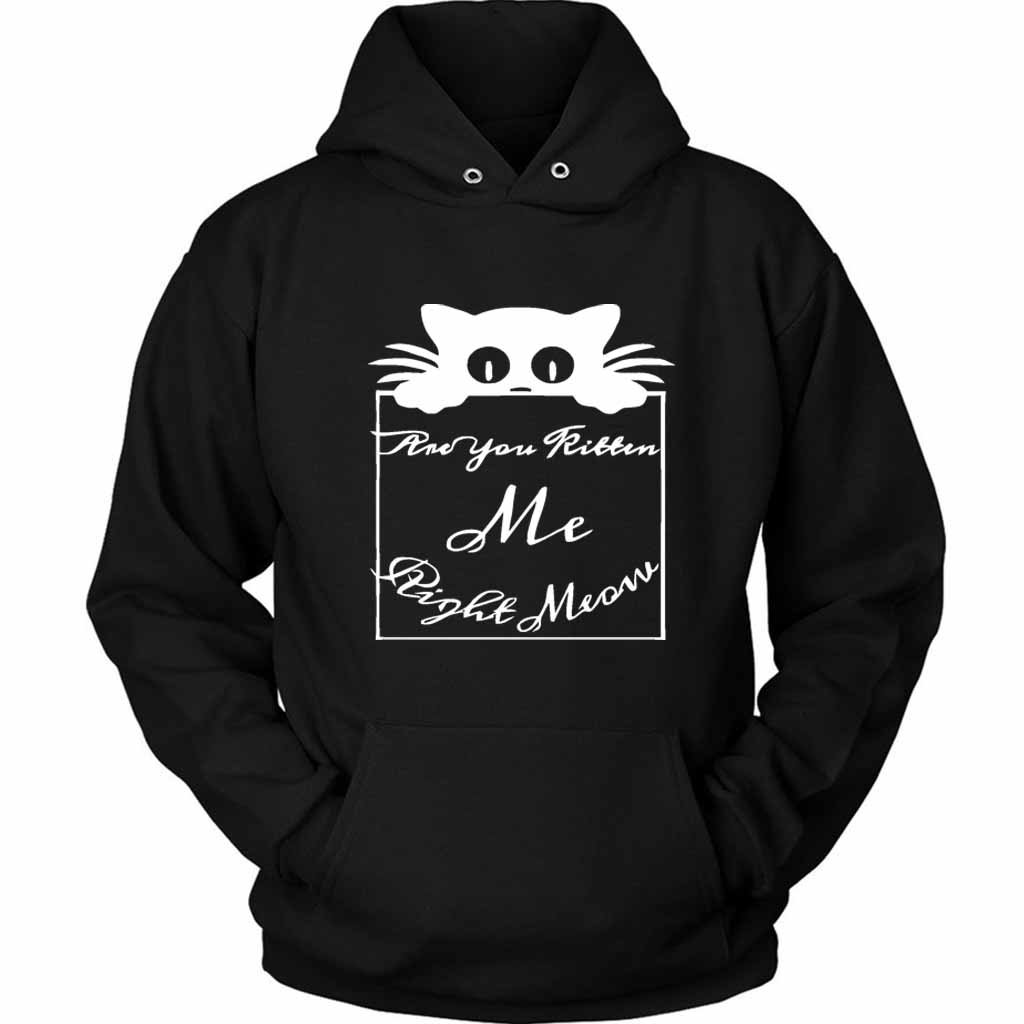 Are You Kitten Me Right Meow Lee Unisex Hoodie