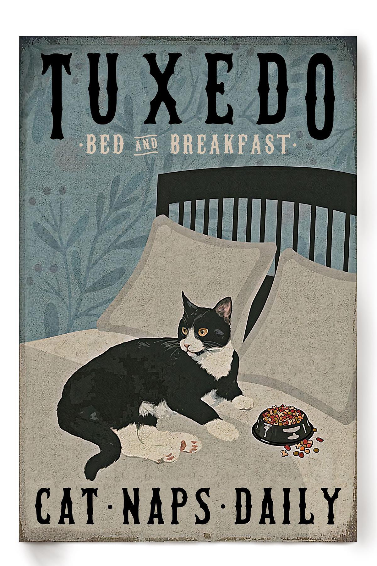 Tuxedo Cat Naps Daily Animal Wall Art Gift For Cat Lover International Cat Day Kitten Foster Bedroom Decor Poster