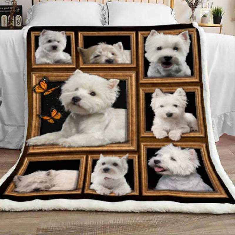 Westie Dog Sherpa Blanket JR0801 70O59