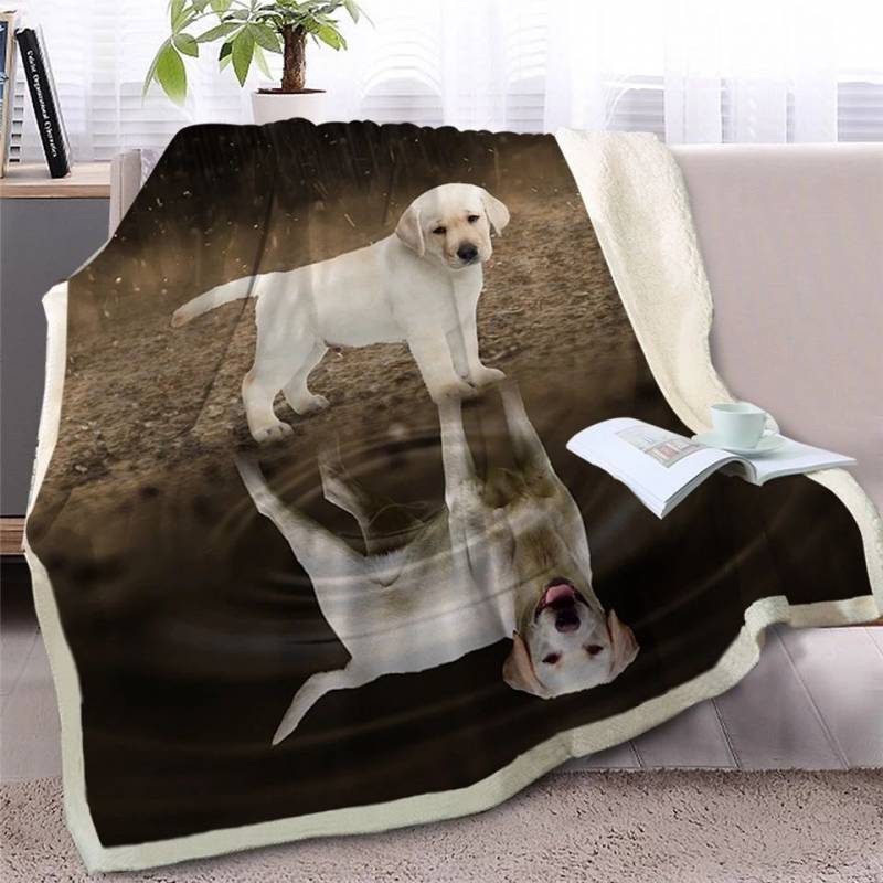 Puppy Labrador Retriever Looking At Reflection CLH2511384F Sherpa Fleece Blanket