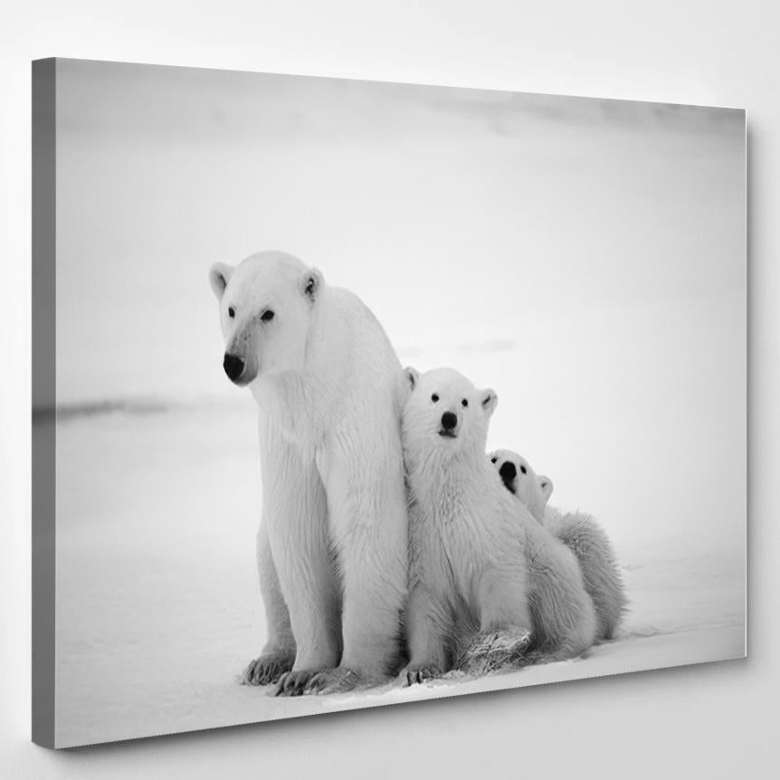 Polar Shebear Cubs Two Small Bear 3 – Bear Animals Canvas Print