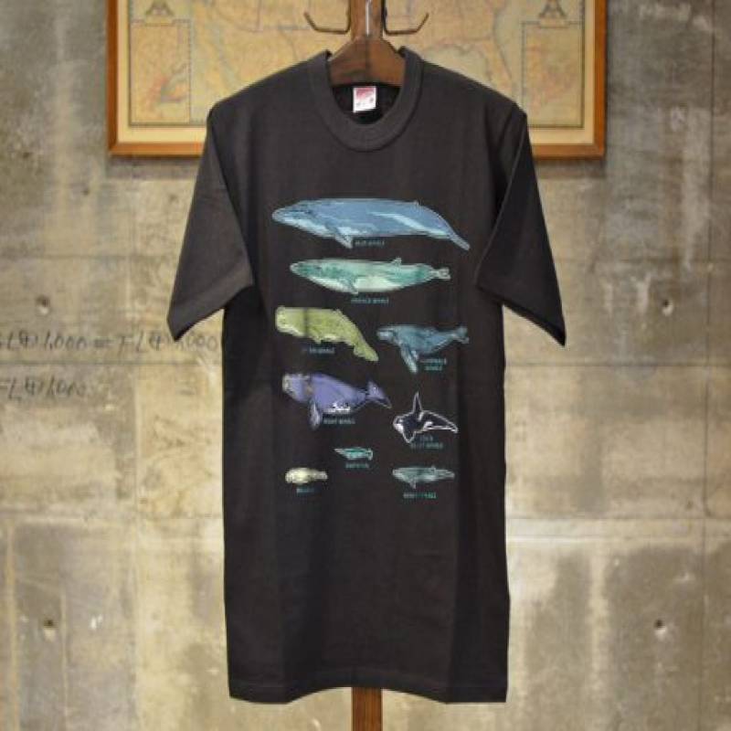 Collection of Whale Breeds Species T-shirt