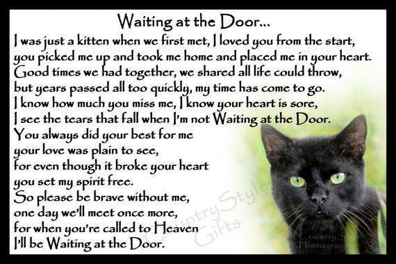 Waiting At The Door Beautiful Black Cat Memorial Pet I Know How Much You Miss Me Birthday Gift Home Decor Poster Canvas