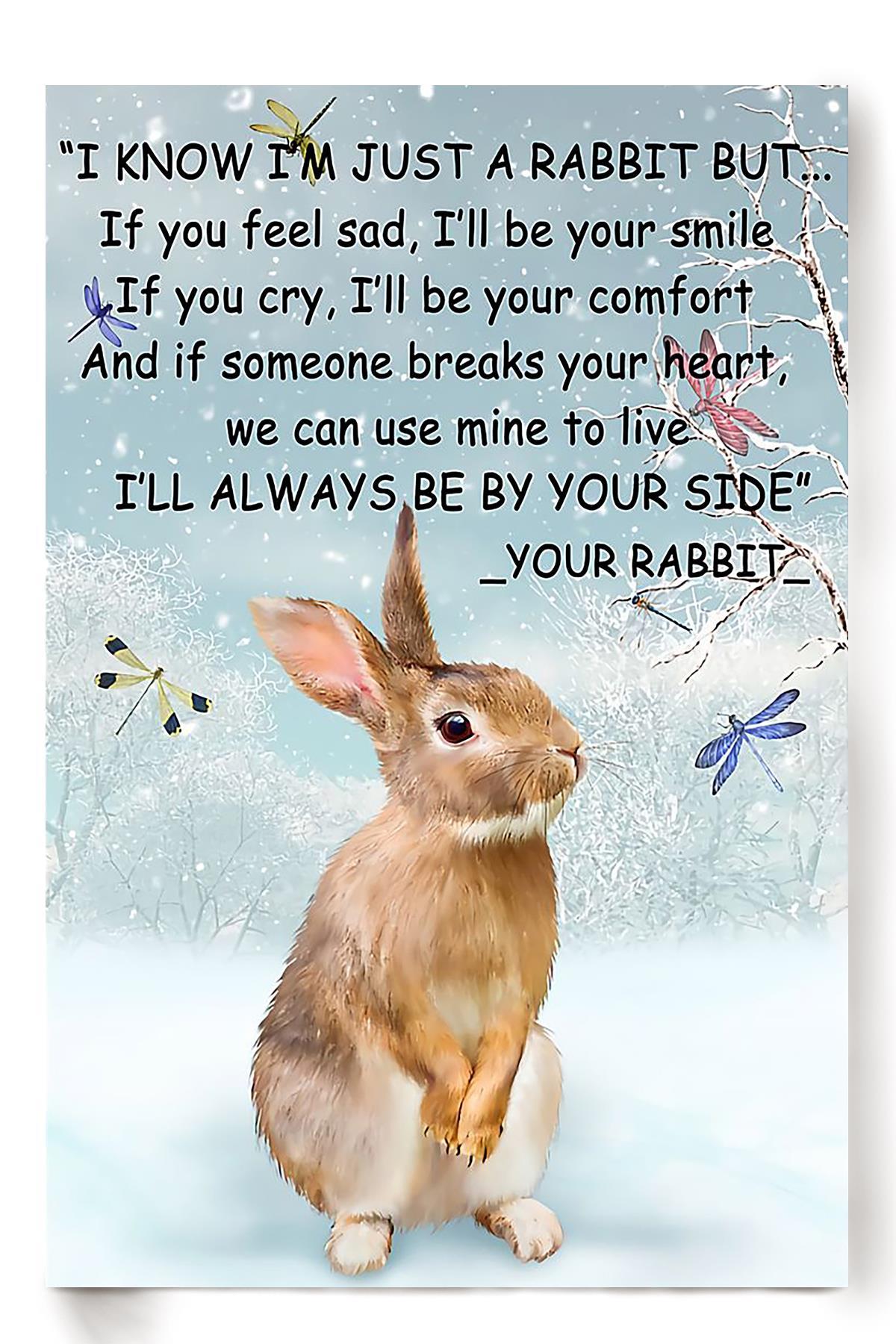 Motivation Quote For Rabbit Foster Farmer Poster