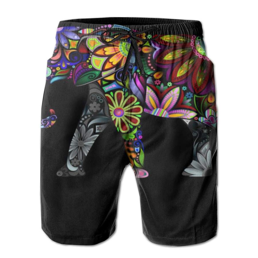 2 Pack Cheerful Elephant Horizontal Poster Men Swim Trunks Drawstring Elastic Waist Quick Dry Beach Shorts with Mesh Lining Swimwear Bathing Suits