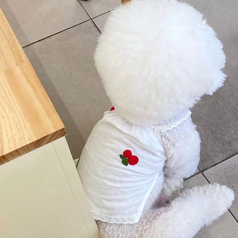 White Cherry Dog Suspenders Summer Thin Pet Clothes Teddy Breathable Two-legged Clothes Puppy Fashion Sun Protection Clothes alx