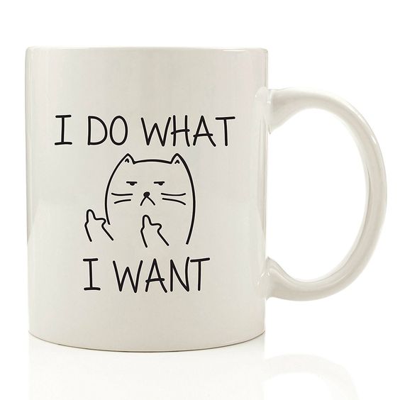 i do what i want mug