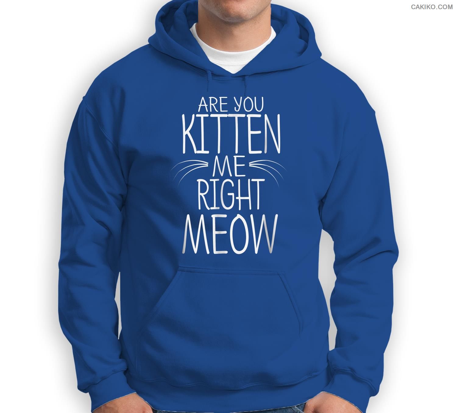 Are You Kitten Me Right Meow Funny Cat Joke Sweatshirt & Hoodie