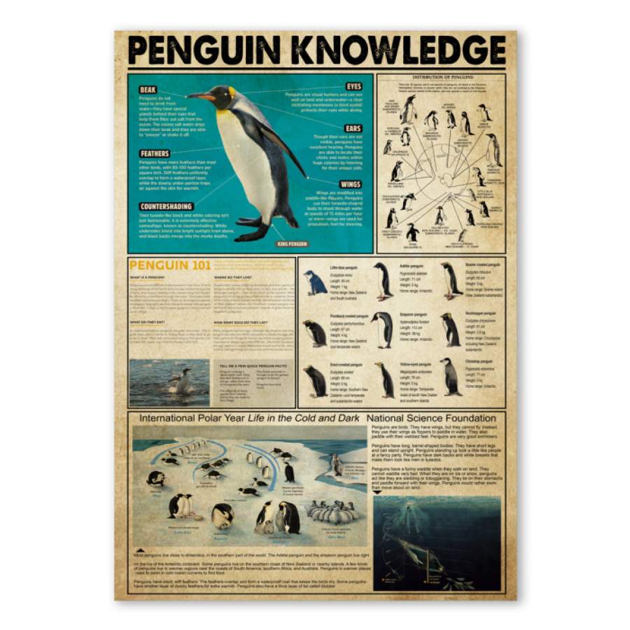 Poster Penguin Knowledge Custom Design Giving Penguin Lovers