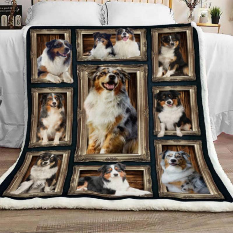 Australian Shepherd Dog Sherpa Blanket JR1002 70O49