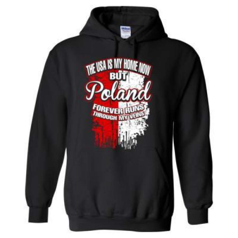 AGR The USA Is My Home Now But Poland Forever Runs Through My Veins – Heavy Blend™ Hooded Sweatshirt