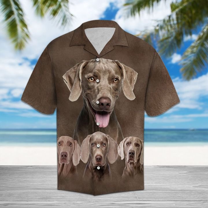 Weimaraner Great Hawaiian Shirt Summer Button Up For Men, Women, Couple