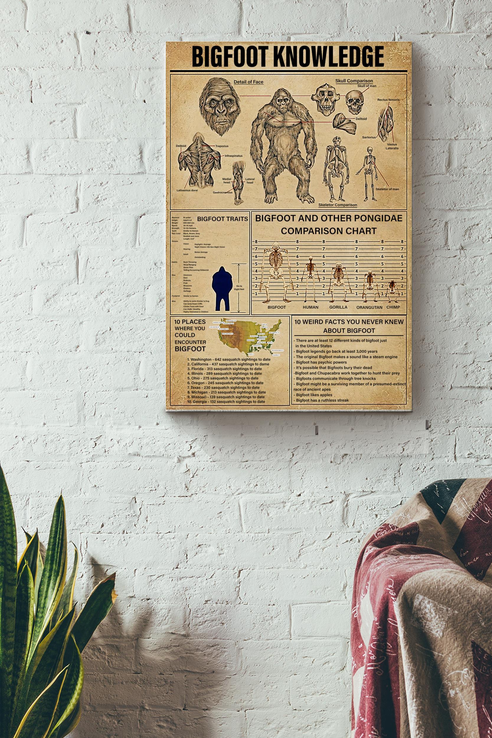 Big Foot Knowledge Basic Information Poster – Fantastic Beasts Wall Art – Gift For Kids Fantastic Beasts Lover Biologist Wrapped Canvas