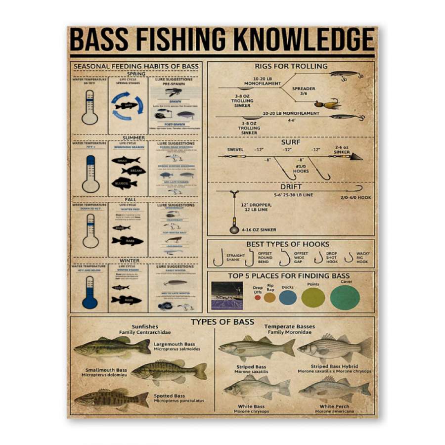 Bass Fishing Knowledge Funny Gift For People Poster