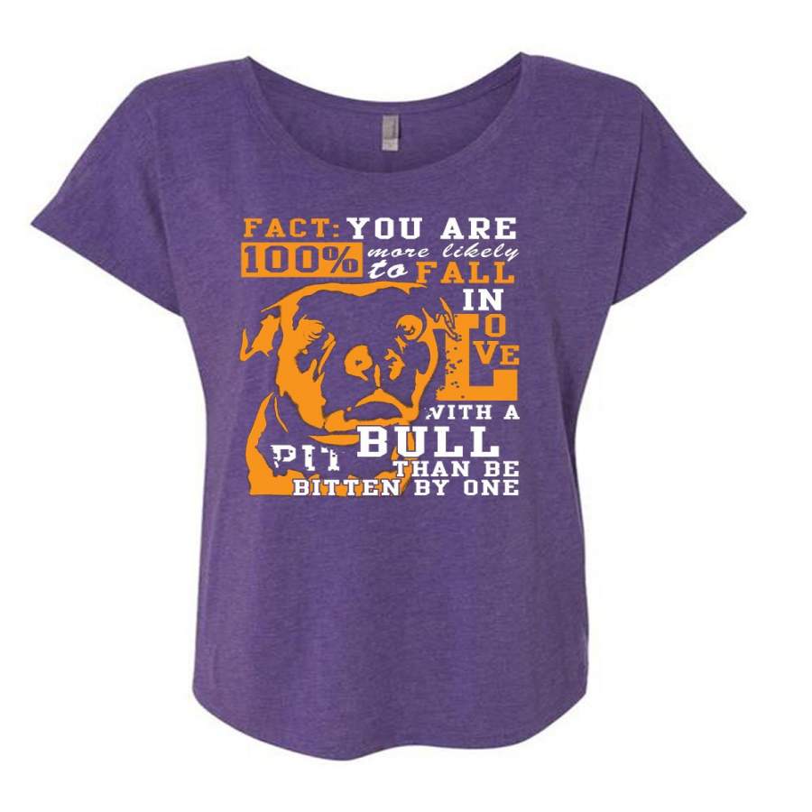 You Are More Likely To Fall T Shirt, In Love With A Pit Bull T Shirt, Cool Shirt (Ladies’ Triblend Dolman Sleeve)