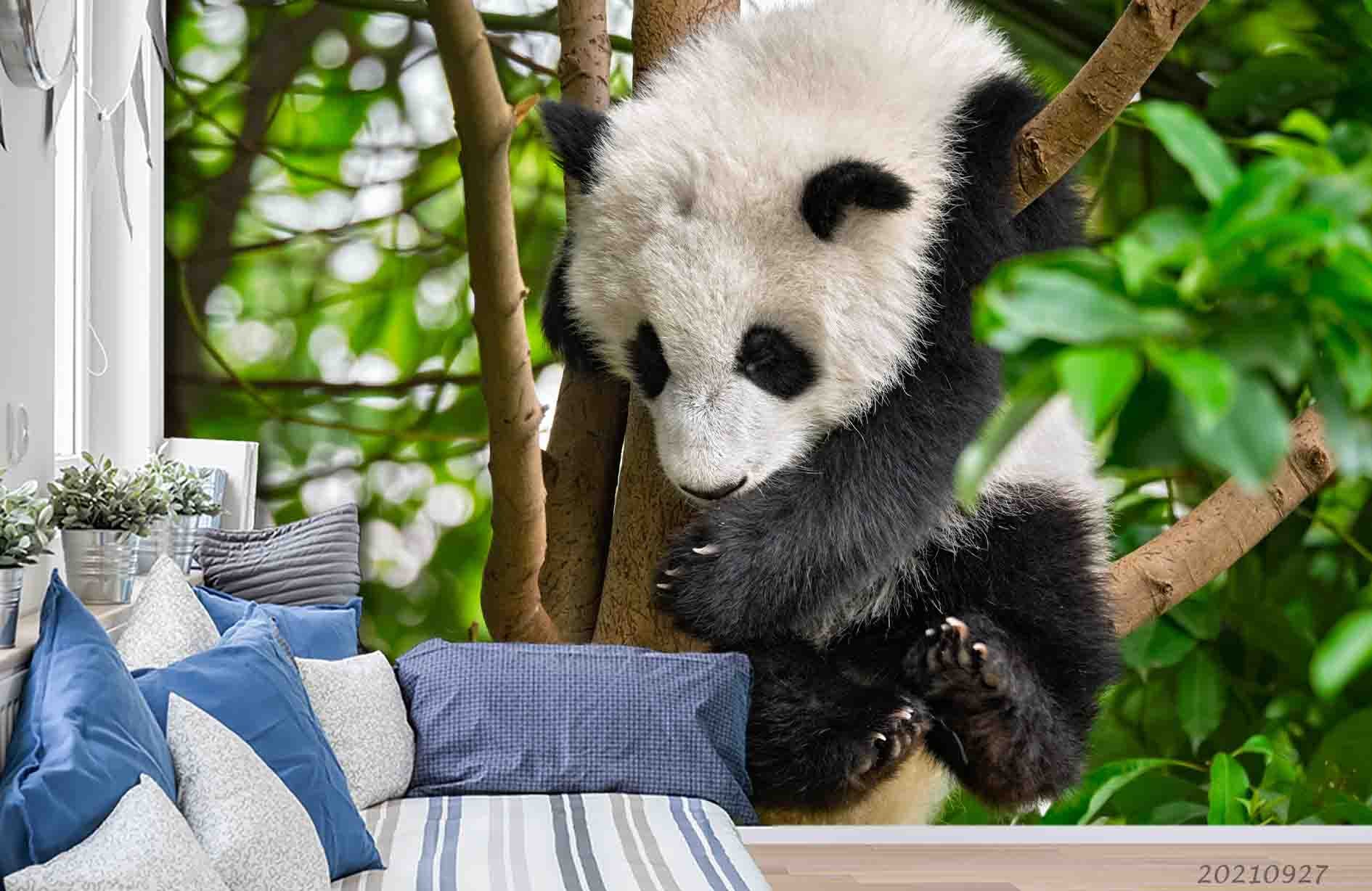 3D Wild Animal Panda Forest Wall Mural Wallpaper Lqh 204