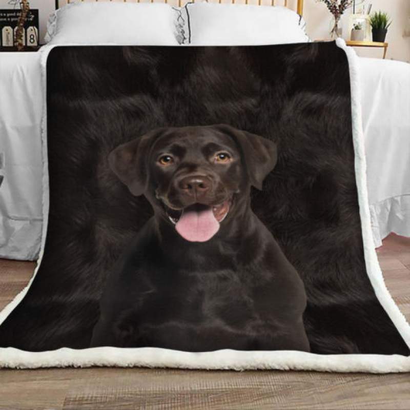 Labrador Retriever Dog Sherpa Blanket JR1603 73O49