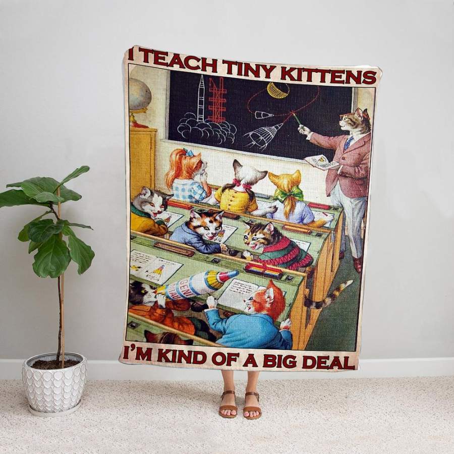 Cat teacher i teach tiny kittens i’m kind of a big deal cat class cat lover fleece blanket/ sherpa blanket