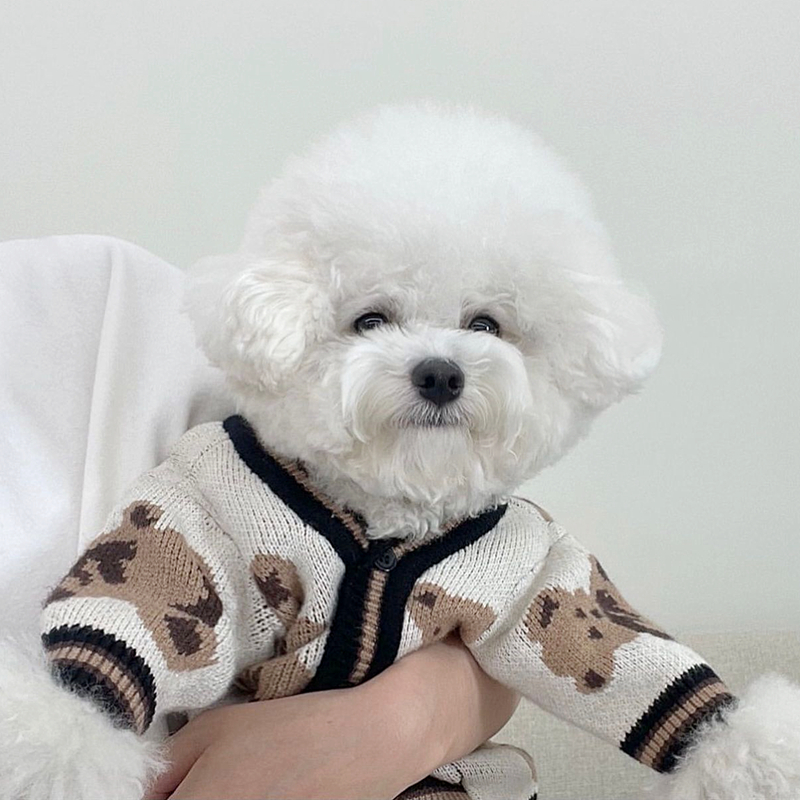 Cartoon Bear Dog Clothes Pet Knitted Sweater Teddy Warm Winter Clothes Than Bear Open Shirt Puppy Two-legged Clothes alx