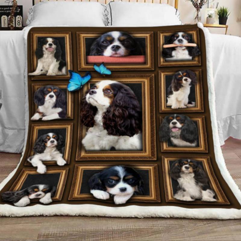 Cavalier King Charles Spaniel Sherpa Blanket DCB2601 85O36