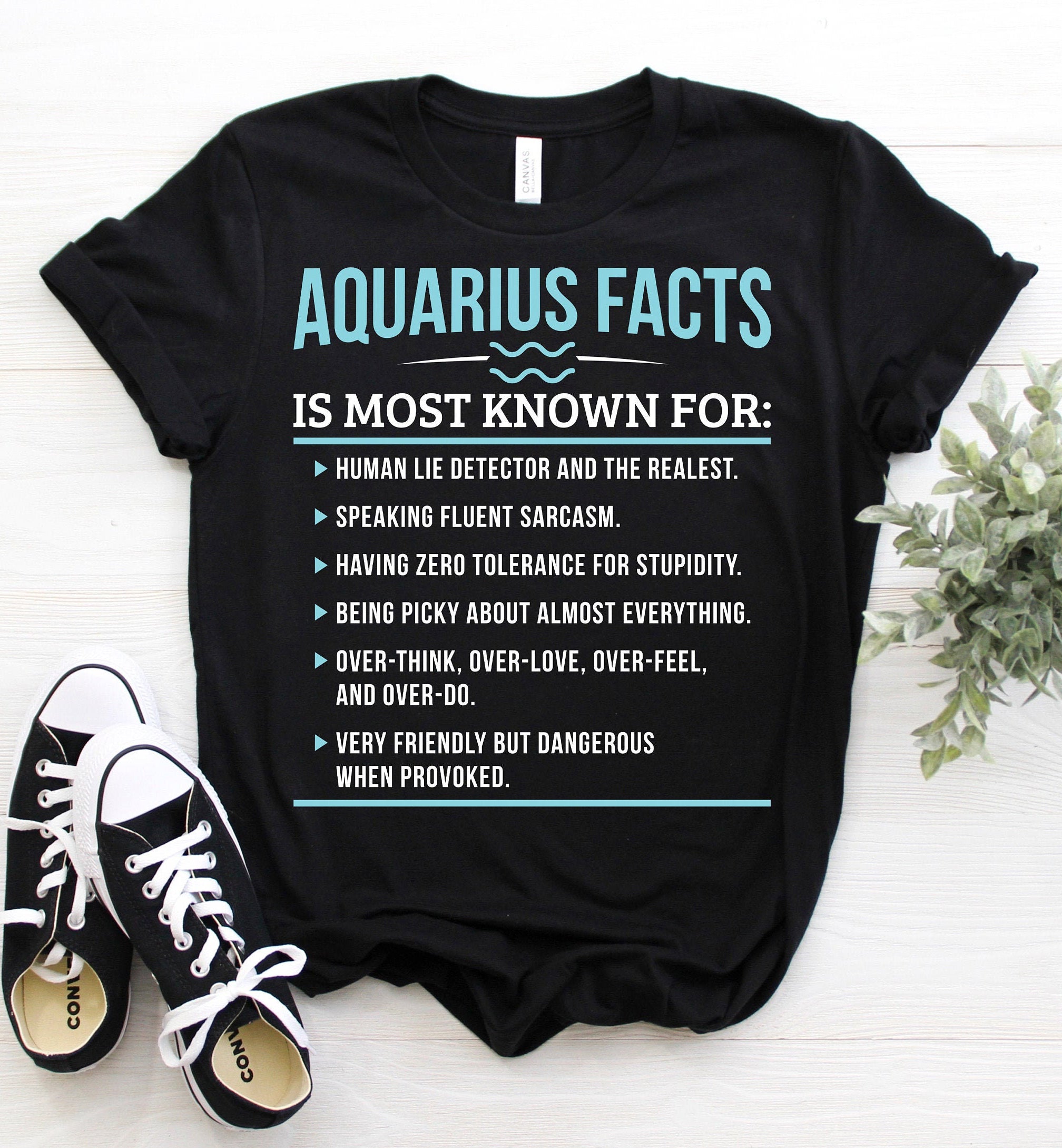 Funny Aquarius Facts Human Lie Detector And The Realest Standard/Premium T-Shirt Hoodie