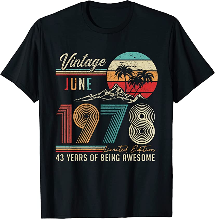 43 Years Old 43rd Birthday Decoration Vintage June 1978 T-Shirt