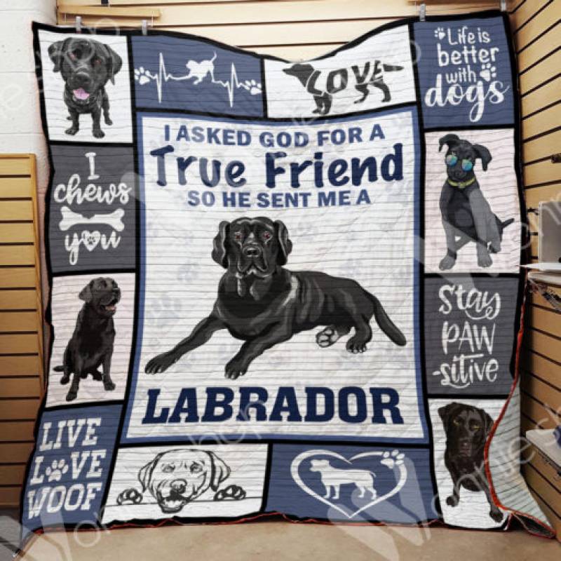 Labrador Retriever Dog Blanket NOV2801 68O49