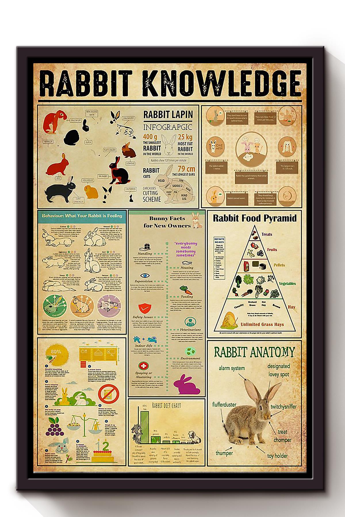 Rabbit Basic Information Animal Knowledge Wall Art For Homeschool Kids Bedroom Decor Framed Canvas