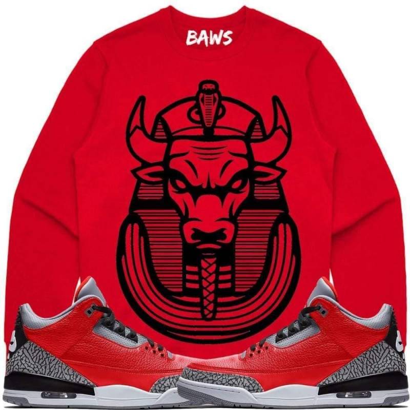 Jordan Retro 3 Red Cement Elephant Bully Pharaoh Sneaker Sweatshirt