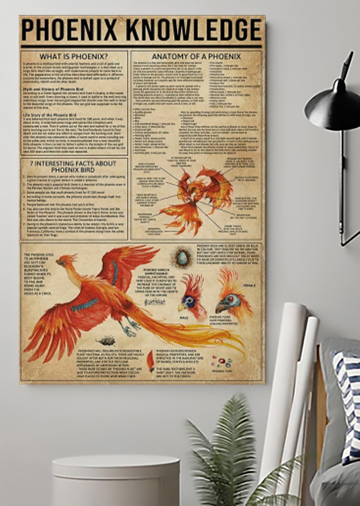 Phoenix Knowledge Poster