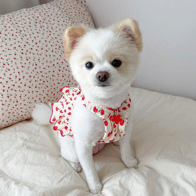 Teddy Princess Skirt Puppy Summer Clothes Pet Fruit Skirt Pomeranian Pretty Even Cloud Skirt Cool Dog Clothes Pet Products alx