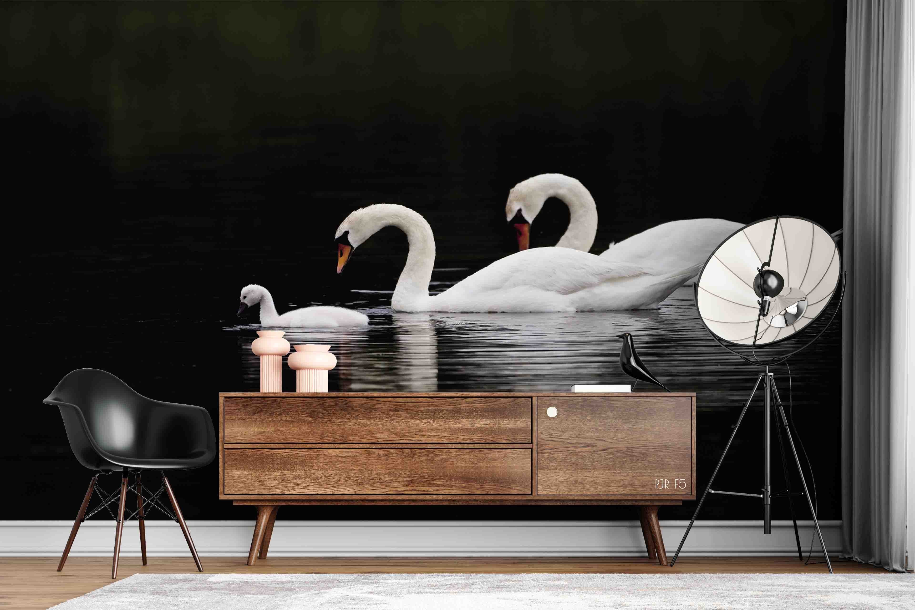 3D Animal Swan Wall Mural Wallpaper Wj 6638