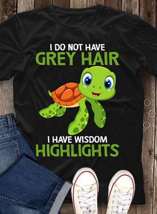 Turtle Do Not Have Grey Hair Have Wisdom Highlights Cotton T Shirt