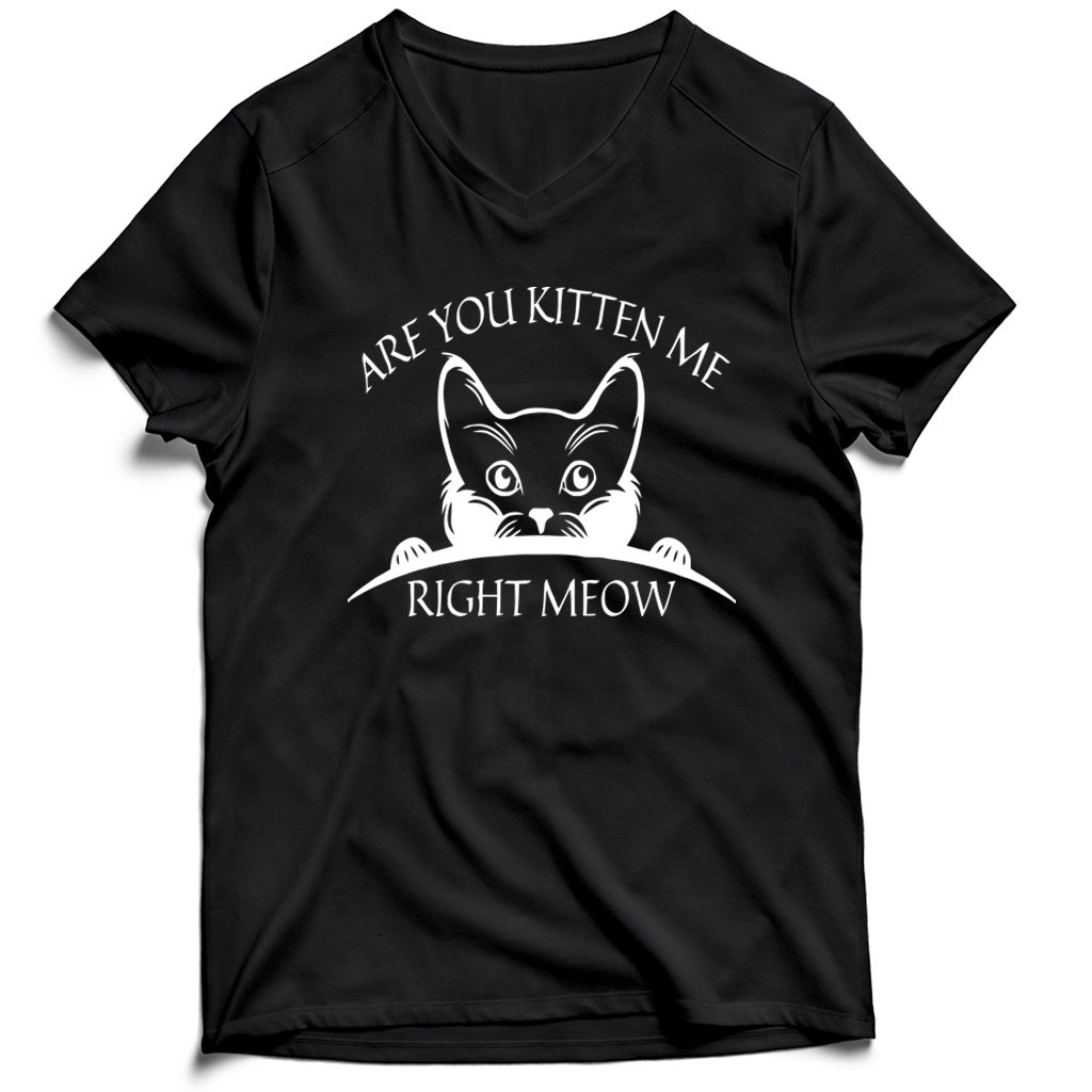 Are You Kitten Me Right Meow Cool Men’s V-Neck Tee T-Shirt