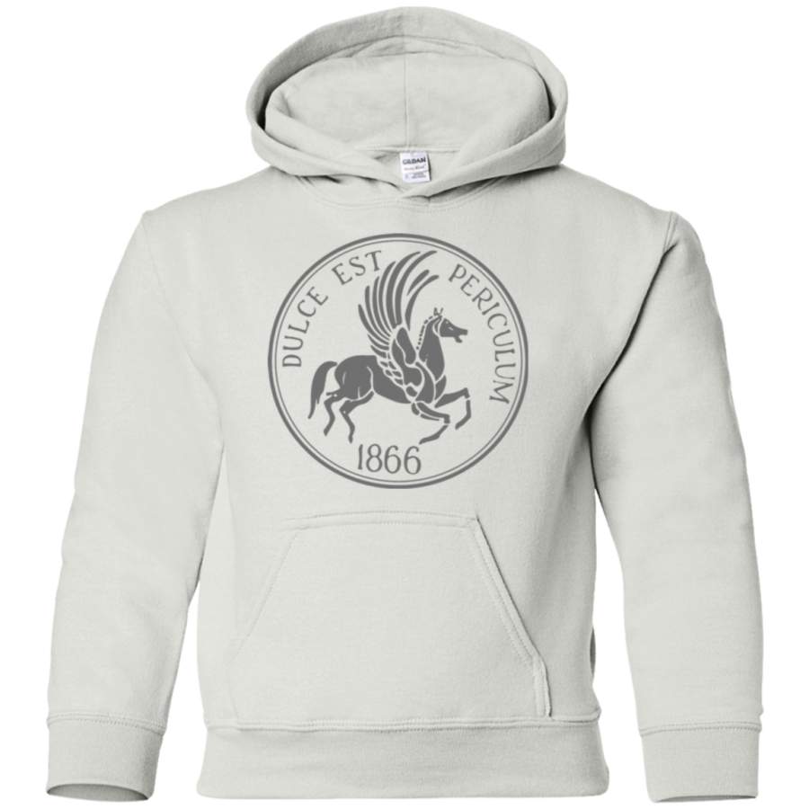 AGR Skinny Peg Seal (Gray) Youth Pullover Hoodie