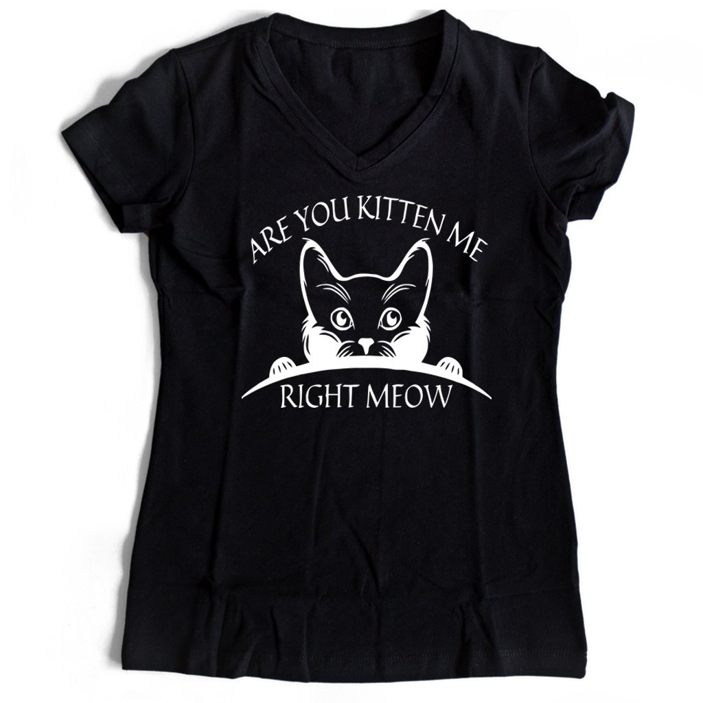 Are You Kitten Me Right Meow Cool Women’s V-Neck Tee T-Shirt