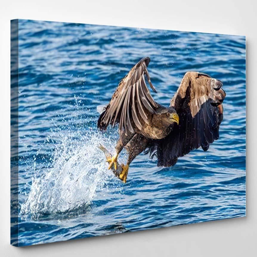 Adult Whitetailed Eagle Fishing Blue Ocean – Eagle Animals Canvas Print