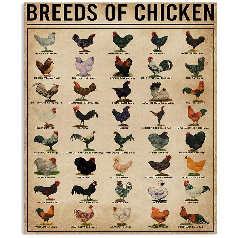 Breeds Of Chickens Knowledge Vertical Poster