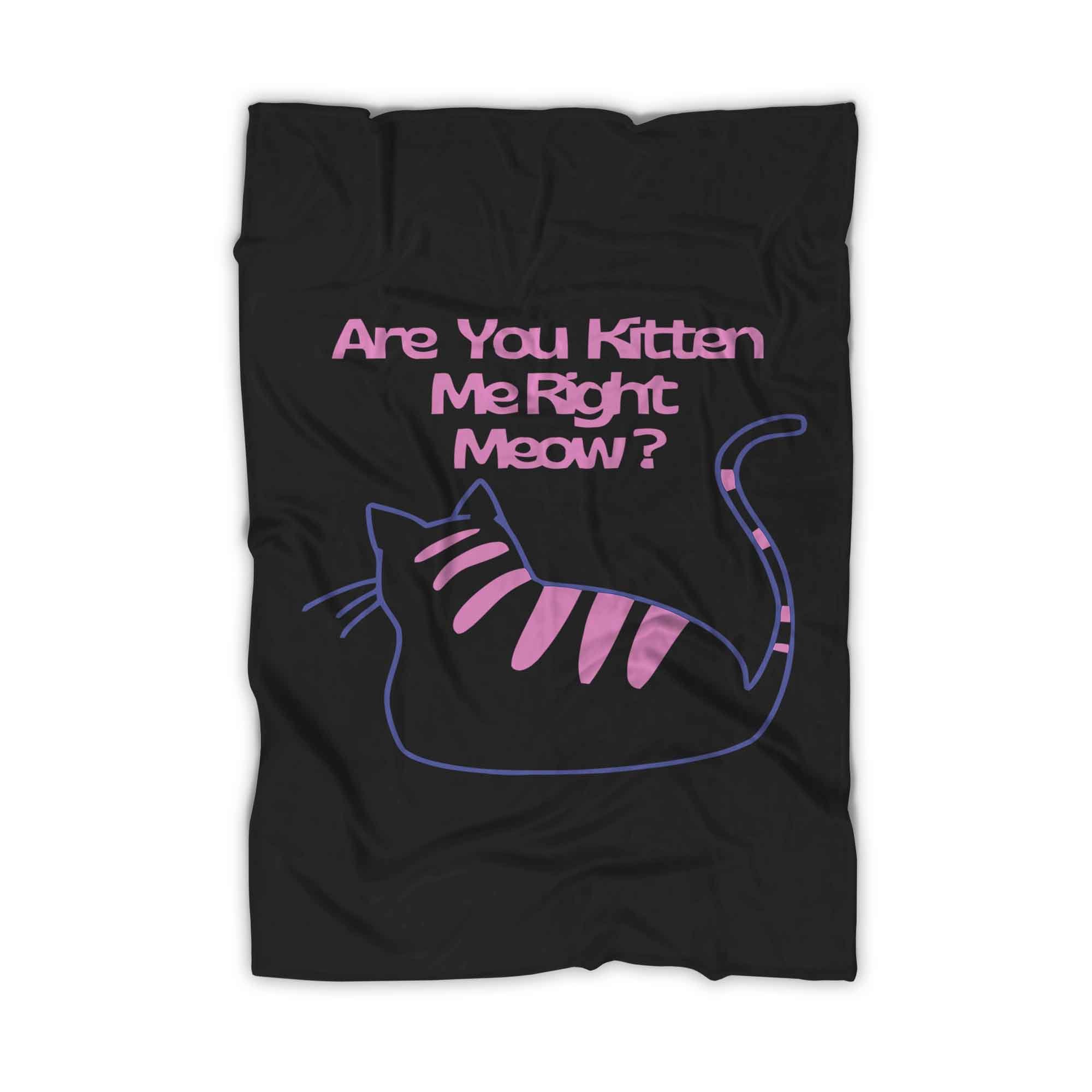 Are You Kitten Me Right Meow Art Blanket