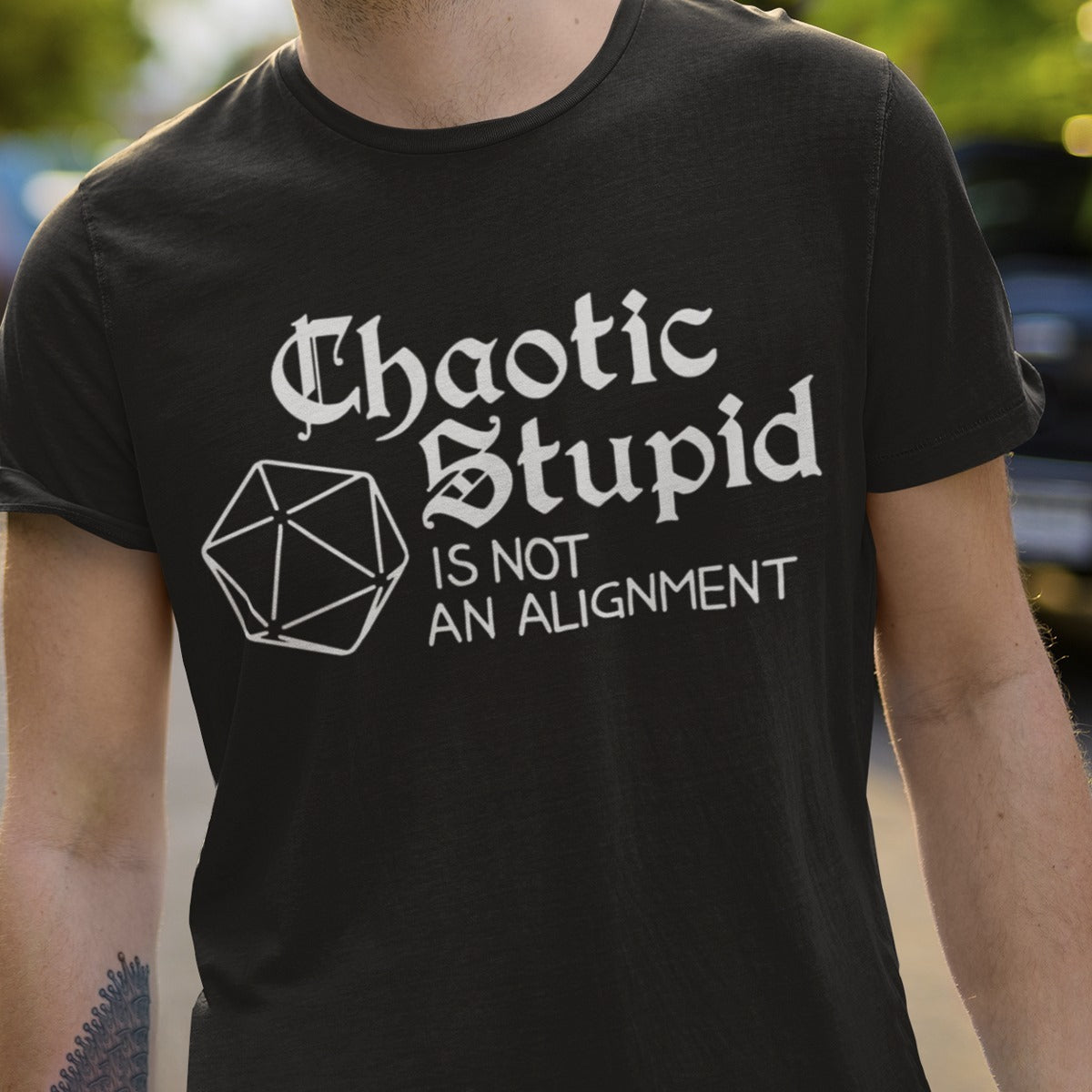 Chaotic Stupid Is Not An Alihnment Gift Standard/Premium T-Shirt