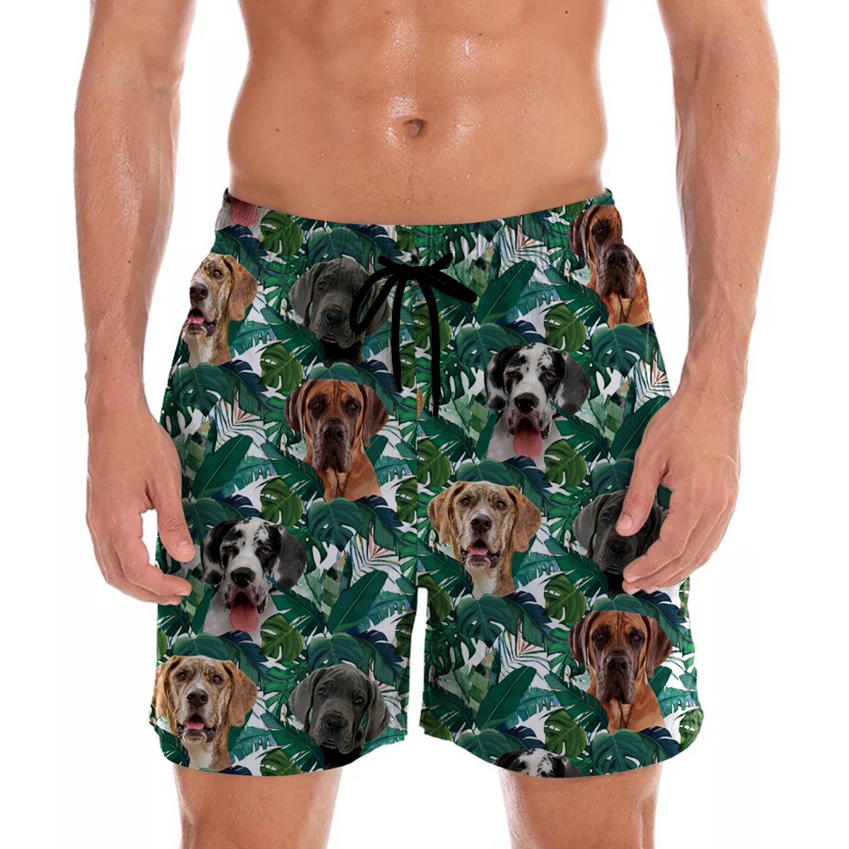 Great Dane Hawaii Shorts Ha109192