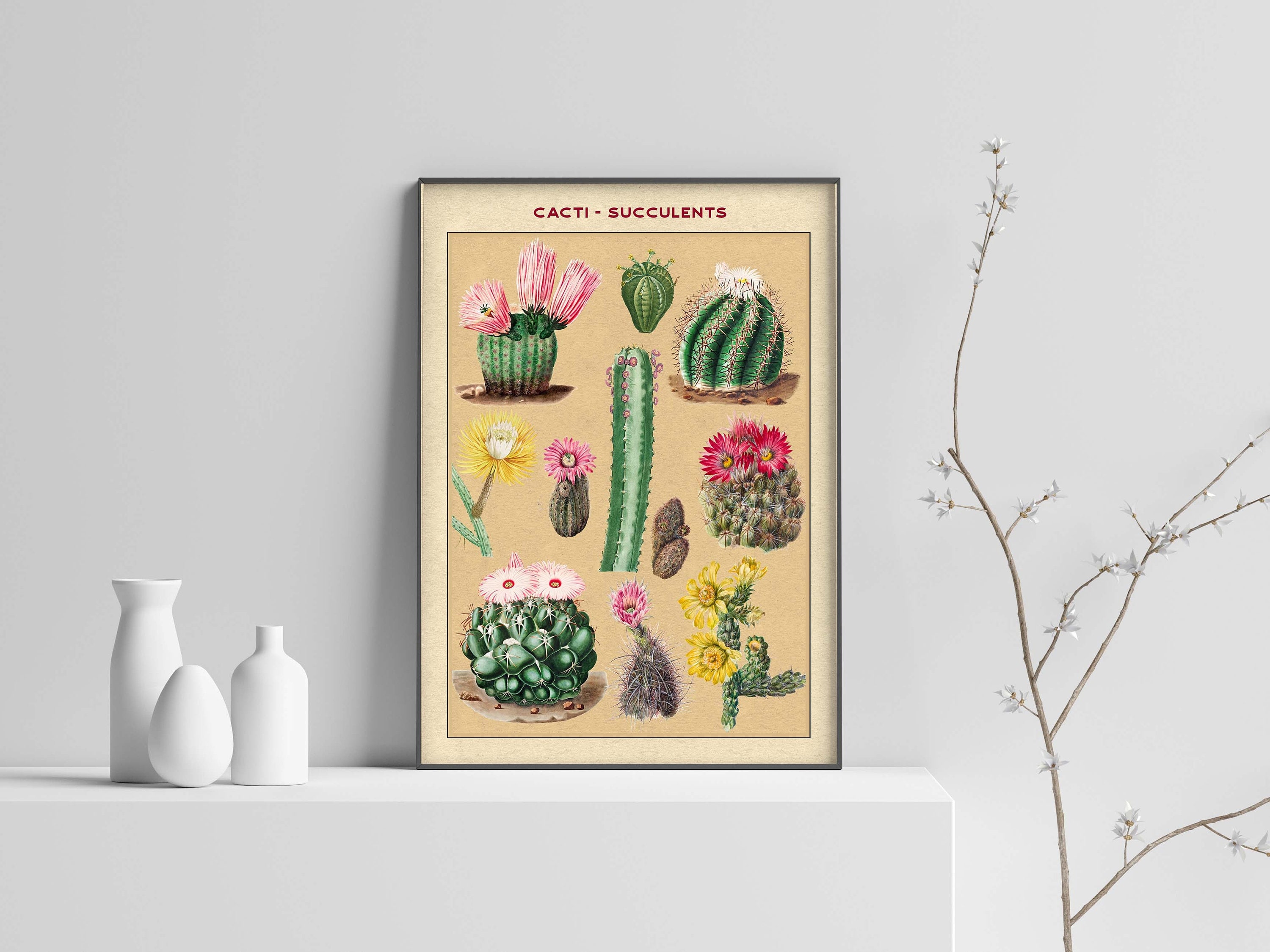 Cactus Vintage Botanical Print, Modern Art Print, Vintage Art, Succulents Poster, Floral, Cactus Art Wall Art Poster Print – Sizes A2/A3/A4