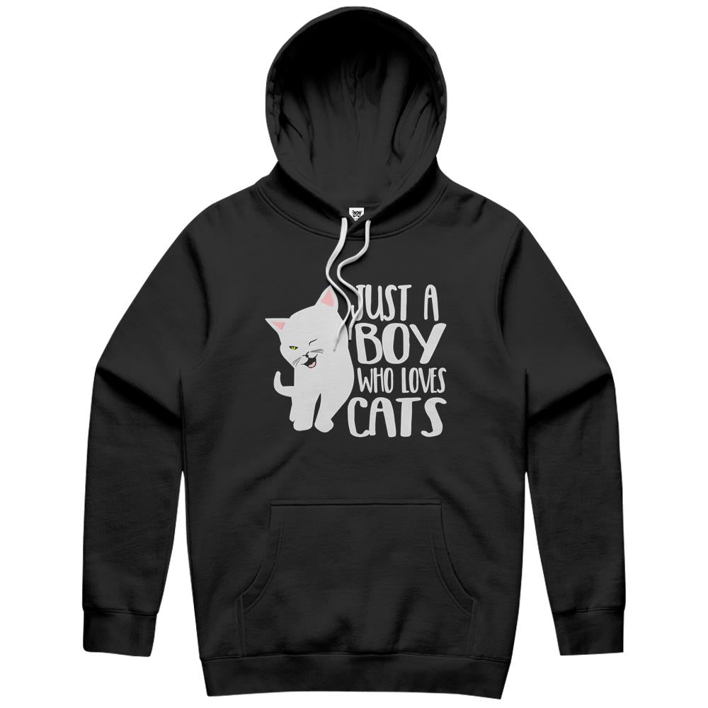 Animal Lover – Just A Boy Who Loves Cats Hoodie