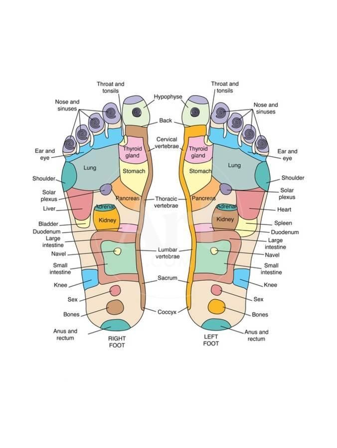 Reflexology Foot Map, Artwork’ Photographic Print – Peter Gardiner | Art.com fashionstation 0608 1784