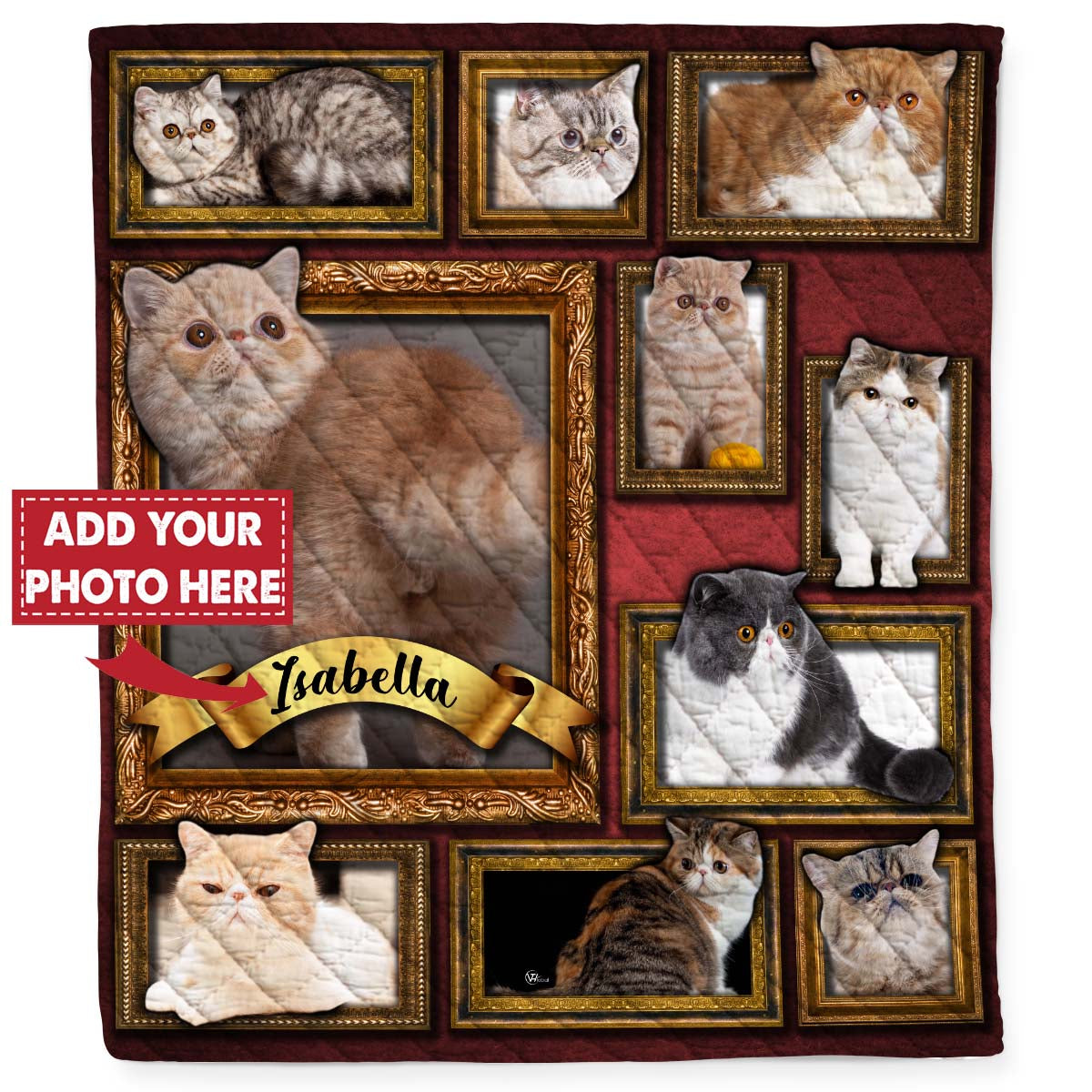 Personalized Custom Name Exotic Shorthair Cat Kitten Quilt Blanket