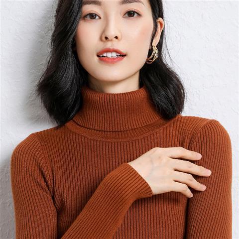 Women’s Sweaters Autumn Winter Turtleneck Long Sleeve Casual Knitted Jumper Fashion Slim Elasticity Pullover Sweater Female 2022 alx