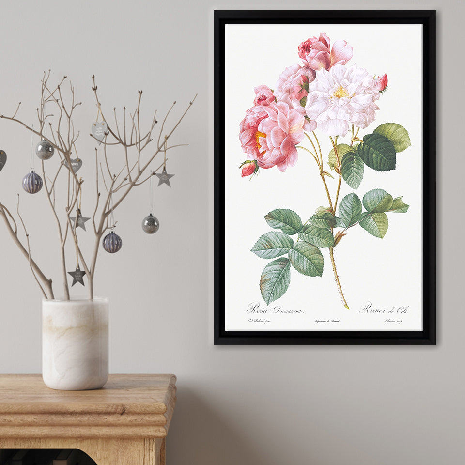 Rosa Damascena Framed Canvas Print – Canvas Painting, Canvas Art, Wall Art, Wall Decor
