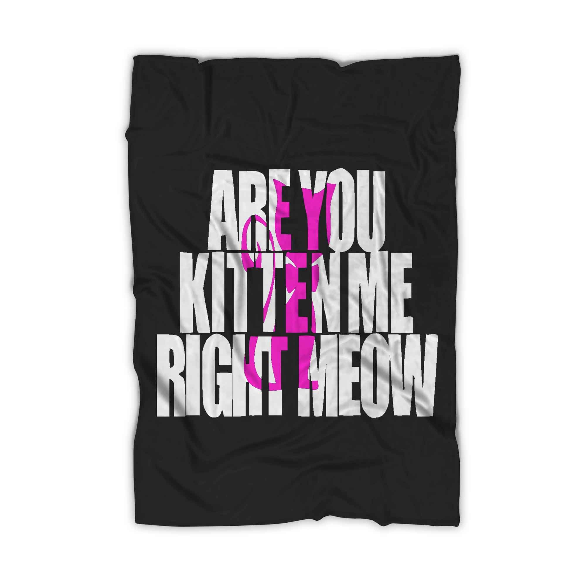 Are You Kitten Me Right Meow One Blanket