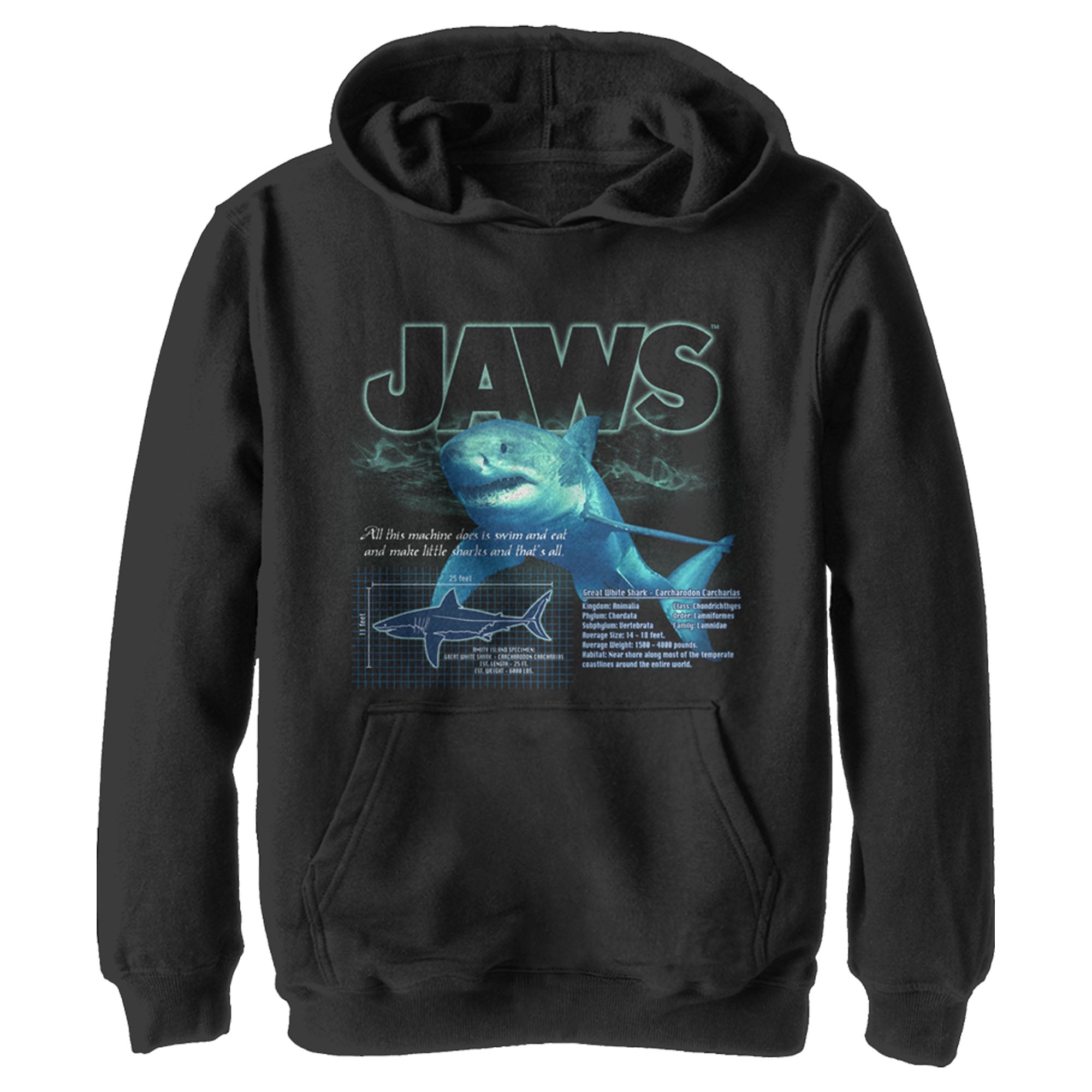 Boy’S Jaws Shark Blueprint Pull Over Hoodie