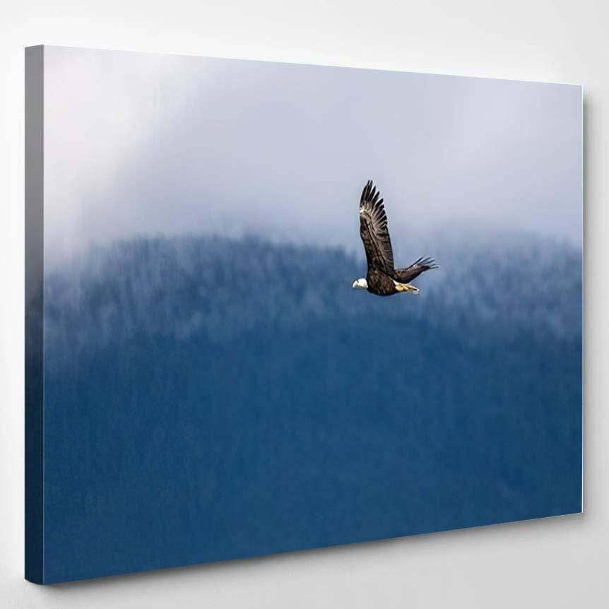 Soaring Bald Eagle Near Harrison British – Eagle Animals Canvas Art Wall Decor Christmas Gift Ideas